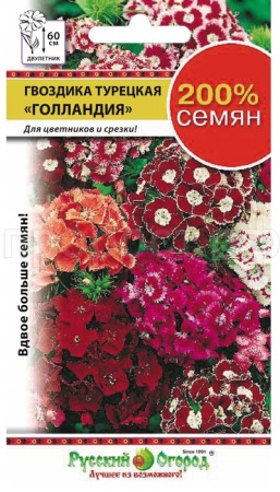 Гвоздика турецкая Голландия 0,5г