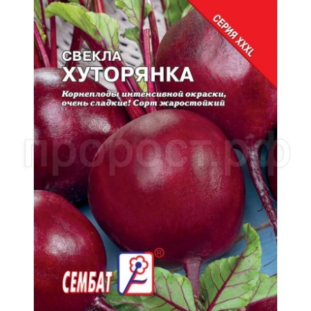 Сембат Свекла Хуторянка 10г XXXL