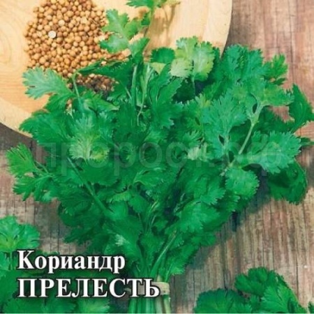 Кориандр Прелесть 25г