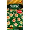 Аэлита Цинния Розетта лососева-желтая 10шт 