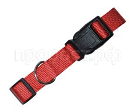 Ошейник нейлоновый цветной 2,5*40*55см/ТОК4/Евро Ошейник нейлоновый цветной 2,5*40*55см/ТОК4/Евро