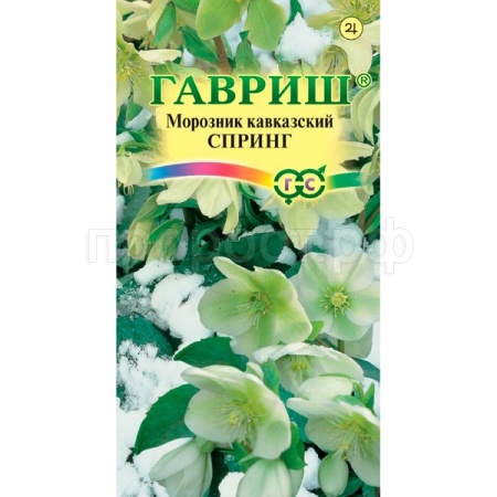 Гавриш Морозник Спринг лимонно-зеленый восточный 0,1 г DHп 