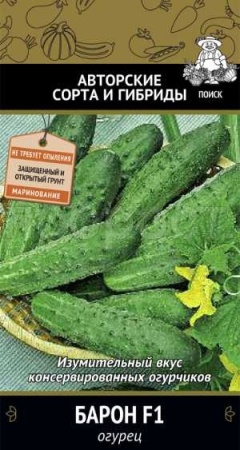 Огурец Барон F1 12шт  Огурец Барон F1 12шт