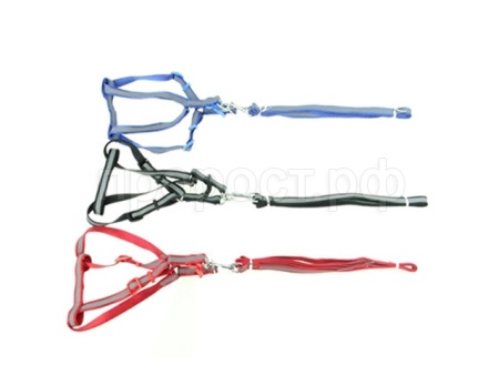 Поводок Комплект д/кошек (поводок+шлейка) светоотражающий/30758/Биосфера