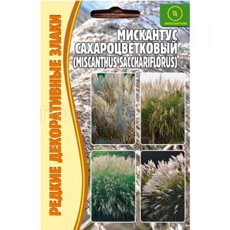 Мискантус Сахароцветковый (Мiscanthus sacchariflor) 0,1г