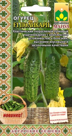 Огурец Поликарп F1 10 шт Огурец Поликарп F1 10 шт