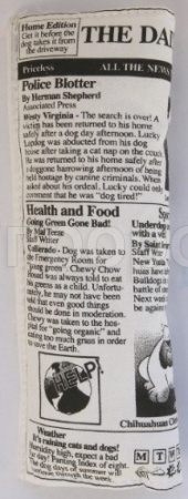 Игрушка для собак Аппорт Газета с шуршалкой 25см/С2304 Игрушка для собак Аппорт Газета с шуршалкой 25см/С2304