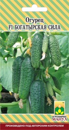 Огурец Богатырская сила F1 10 шт Огурец Богатырская сила F1 10 шт