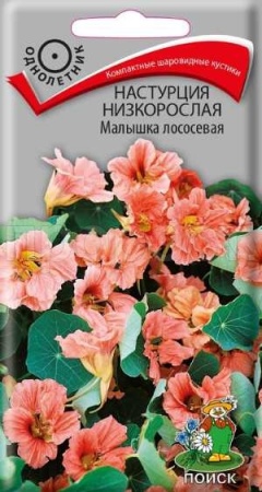 Настурция Малышка лососевая 1гр