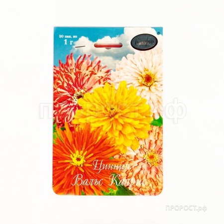 Каприс Цинния Вальс Каприс смесь 20*1