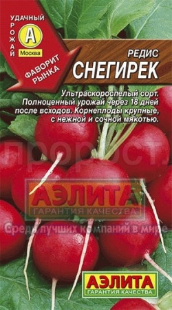 Редис Снегирек  Редис Снегирек