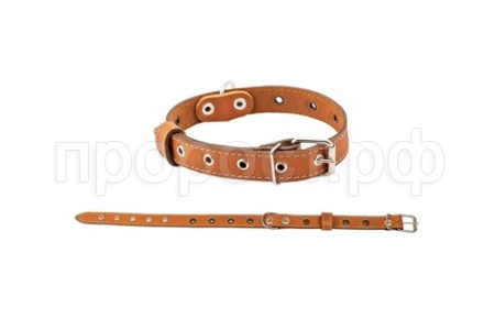 Ошейник кожа 25мм 1сл Стандарт безразмерный до 56см/010125 Ошейник кожа 25мм 1сл Стандарт безразмерный до 56см/010125