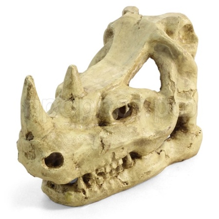 Грот Череп носорога 180*105*120мм 2802LD 
