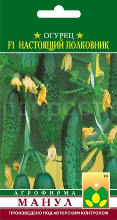 Манул Огурец Настоящий полковник F1 10 шт