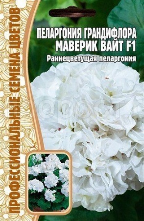 Пеларгония грандифлора Маверик Вайт F1 3шт