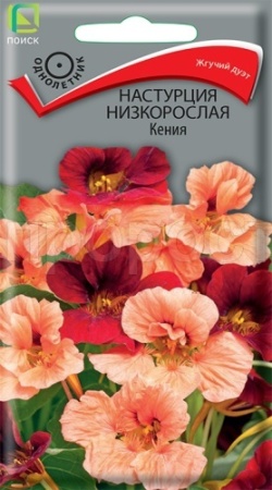 Настурция Кения 1гр Поиск