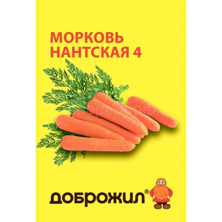 Морковь Нантская 4 2г Морковь Нантская 4 2г