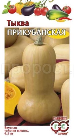 Тыква мускатная Прикубанская 1г Тыква мускатная Прикубанская 1г