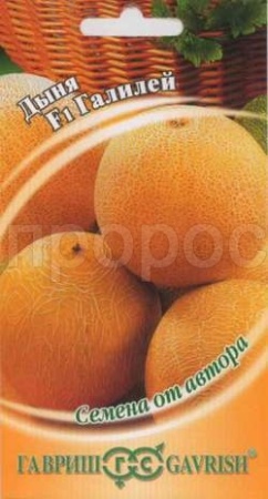 Дыня Галилей F1 15шт Дыня Галилей F1 15шт