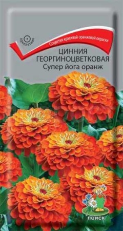 Цинния георгиноцветковая Супер йога оранж 0,4г