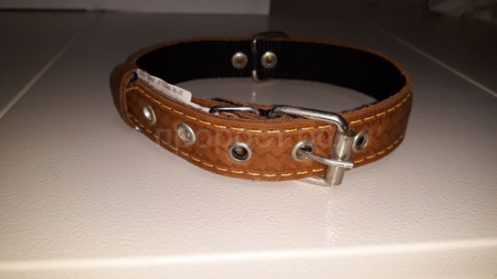 Ошейник кожа+брезент 25мм 2-х слойный Н/У 50-52см/40724 Ошейник кожа+брезент 25мм 2-х слойный Н/У 50-52см/40724