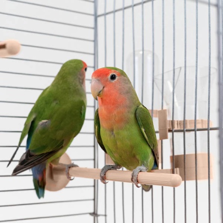 Клетка д/птиц ЛОРА-3 ECO 58*40*126см (укомплект) 3 секции бежевая/4612/Дарэлл Клетка д/птиц ЛОРА-3 ECO 58*40*126см (укомплект) 3 секции бежевая/4612/Дарэлл