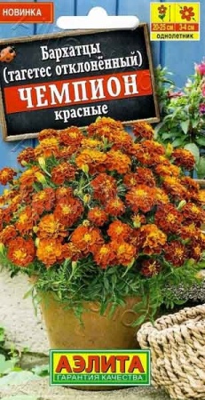 Бархатцы Чемпион красные 0,2г